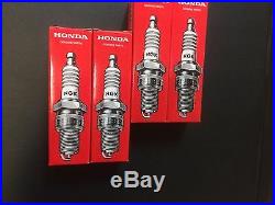 4 pcs 9807B-5617W IZFR6K11 New Genuine OEM NGK Honda Iridium Spark Plugs new