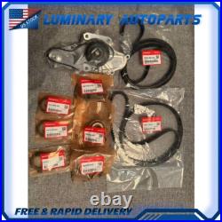 For Acura&Honda Accord Odyssey NEW Genuine OEM Timing Belt Kit with Water Pump