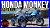 Honda-Monkey-Old-Vs-New-Has-Honda-Improved-The-Monkey-After-50-Years-01-msit