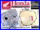 NEW-GENUINE-HONDA-ALTERNATOR-CVR-WTR-PUMP-WithGASK-22-25-PIONEER-1000-19-25-TALON-01-fe
