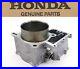 New-Genuine-Honda-Engine-Cylinder-Jug-06-17-MUV-700-SXS-700-TRX-680-Top-End-L121-01-tok