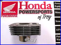 New Genuine Honda Oem Cylinder 2001-2025 Trx250x Ex Tm Te Te1 12100-hn6-000