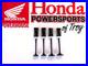 New-Genuine-Honda-Oem-In-Ex-Valves-And-Springs-2004-05-Trx450r-01-km