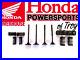 New-Genuine-Honda-Oem-In-Ex-Valves-And-Springs-99-2014-Trx400ex-x-01-ujb