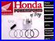 New-Genuine-Honda-Oem-Piston-Kit-1999-07-Trx400ex-1996-04-Xr400r-01-ri