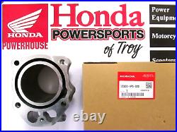 New Genuine Honda Oem Std Cylinder & Piston Kit 2007-2008 Trx420 Rancher