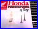 New-Genuine-Oem-Honda-Intake-Valves-x2-2004-09-Crf250r-And-2004-17-Crf250x-01-fvgq